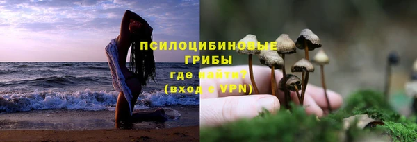 гашик Горно-Алтайск
