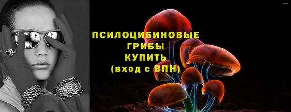 бутират Горняк