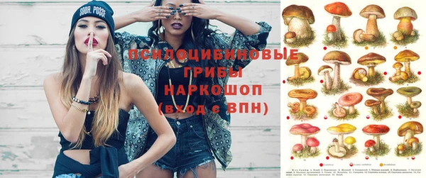 бутират Горняк